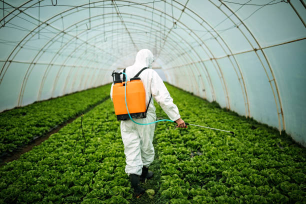 Best Best Pest Control Companies  in Country Clu, FL