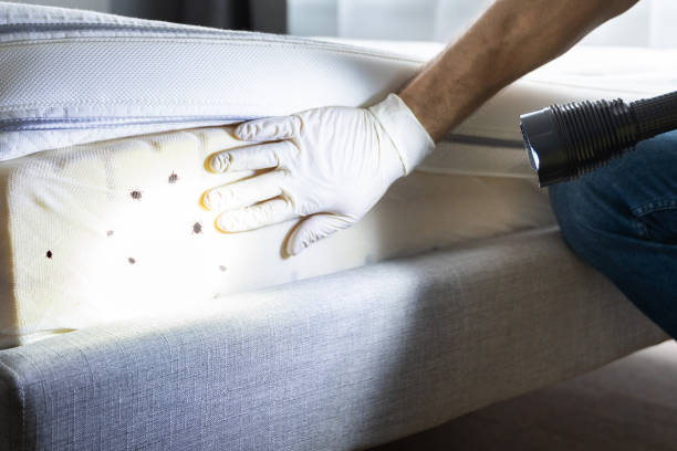 Pest Control Cost in Country Clu, FL