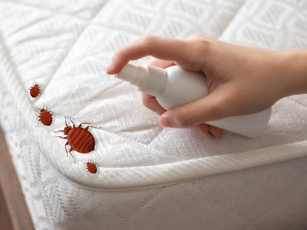 Best Commercial Pest Control Services  in Country Clu, FL