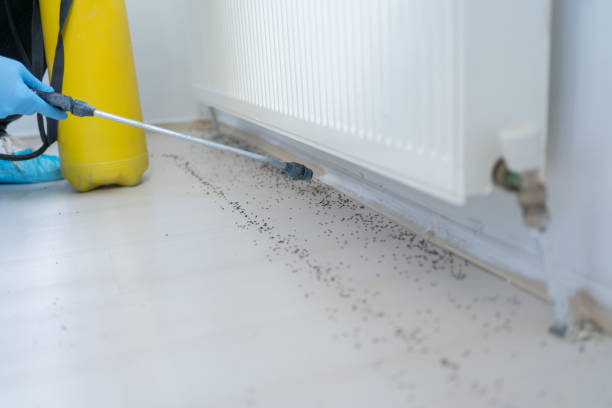 Best Commercial Pest Control Services  in Country Clu, FL