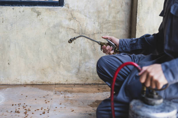 Best Pest Control for Businesses  in Country Clu, FL